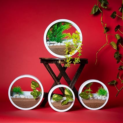 Urban Plant Hanging Round Wall Planter Indoor, Round Planter, Wall Hanging Planter, Hanging Terrarium, Wall Decor, Wall Vase, Air Plant Holder Florarium-Set of 4 (White)