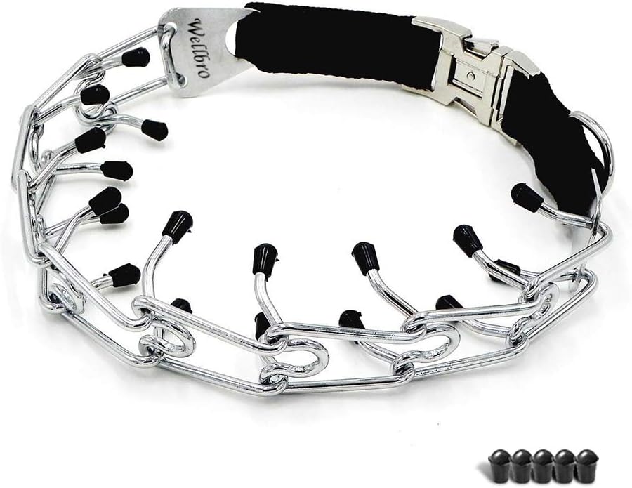 pinch collar petsmart