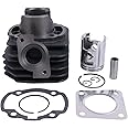 WQSING 50cc 39mm Cylinder Kit Compatible with SYM DIO 50 DD50 Jolie 50 2 stroke AF18E AF28