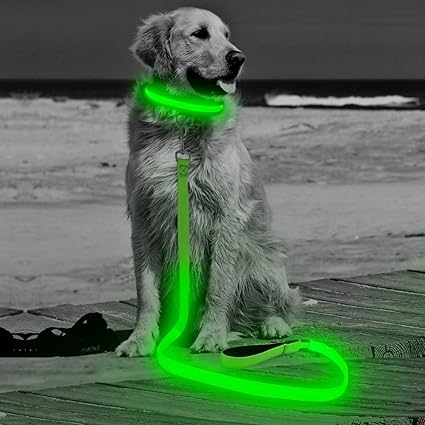 led pet leash