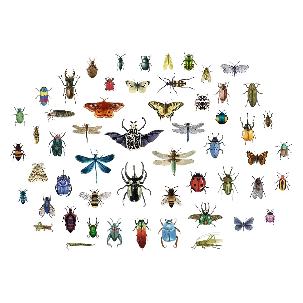 SUPERDANT Vintage Insects Scrapbook Wall Stickers Taxidermy Butterfly Decals Moth Beetle Wall Decal Dragonfly Grasshopper Vinyl Art Wall Decor for Biology Lab Library Kids Bedroom