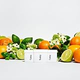 Fussy Natural Deodorant Refill Pack of 3 Aluminium Free Lime Scent 24h