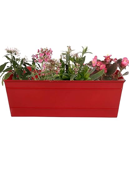 Casa Rustica Metal Hanging Flower Plant Pots, Metal Bucket Flower Pots, Fence Bucket, Hanging Flower Pot for Indoor and Outdoor, Storage Bucket in Kitchen or Bathroom, Detachable Hook - Red