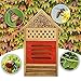 PINVNBY Insect House Natural Wooden Bee Hotel Butterfly habitat for Gardens ladybugs(Ladybirds), lacewings, butterfly, mason bees, solitary, leaf cutter & many other beneficial insects