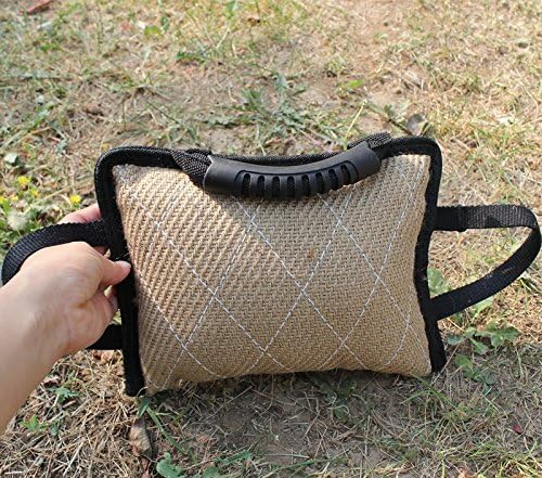 belgian malinois chewing