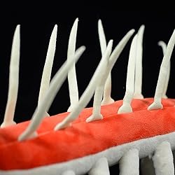 Tiny Heart Simulation Weird Worm Plush