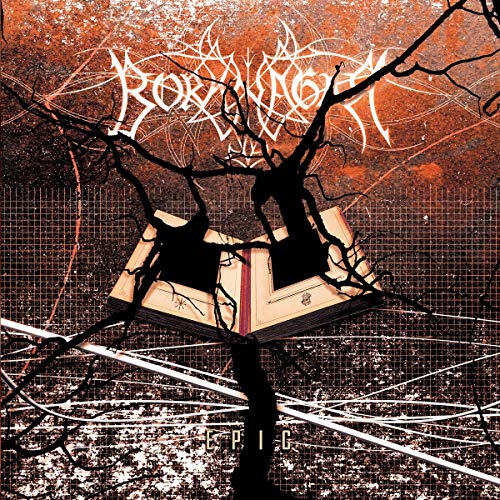 Album art for Epic by Borknagar