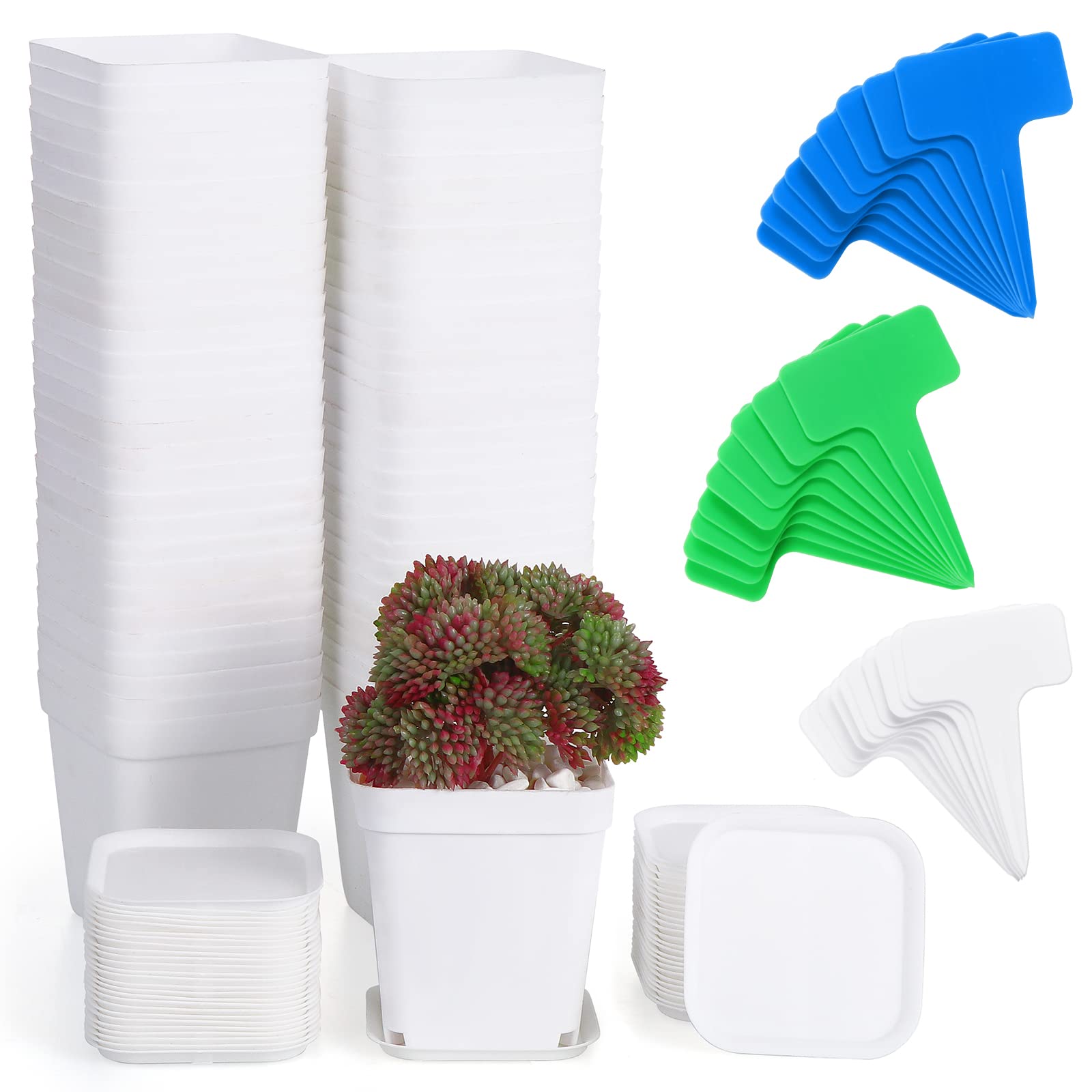 Fippy 60 Pieces Small Plastic Plant Pot 7cm, Square Plant Nursery Pots with Trays, Plant Seedling Pot, White Plastic Flower Pot for Garden Office and Balcony Decor, White