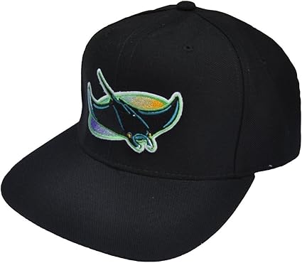 Tampa Bay Devil Rays Vintage 1998 2000 Logo New Era Genuine