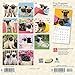 Pug Puppies 2020 7 x 7 Inch Monthly Mini Wall Calendar, Animals Dog Breeds Puppies