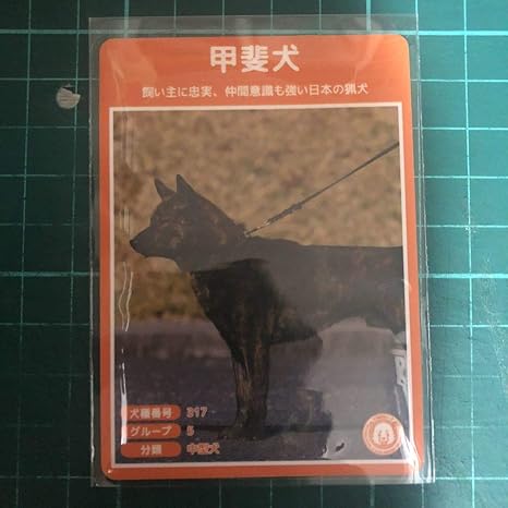 Amazon 犬種図鑑カード No 075 甲斐犬 アニメ 萌えグッズ 通販