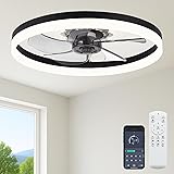 Fszdorj 23.6'' Ceiling Fan with Light, Upgraded Low