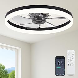 Fszdorj 23.6'' Ceiling Fan with Light, Upgraded Low