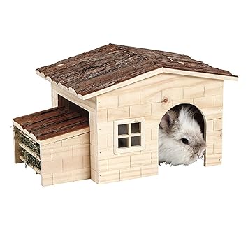 Strassenpreis Am Besten Billig Modernes Design Hasen Haus Simone