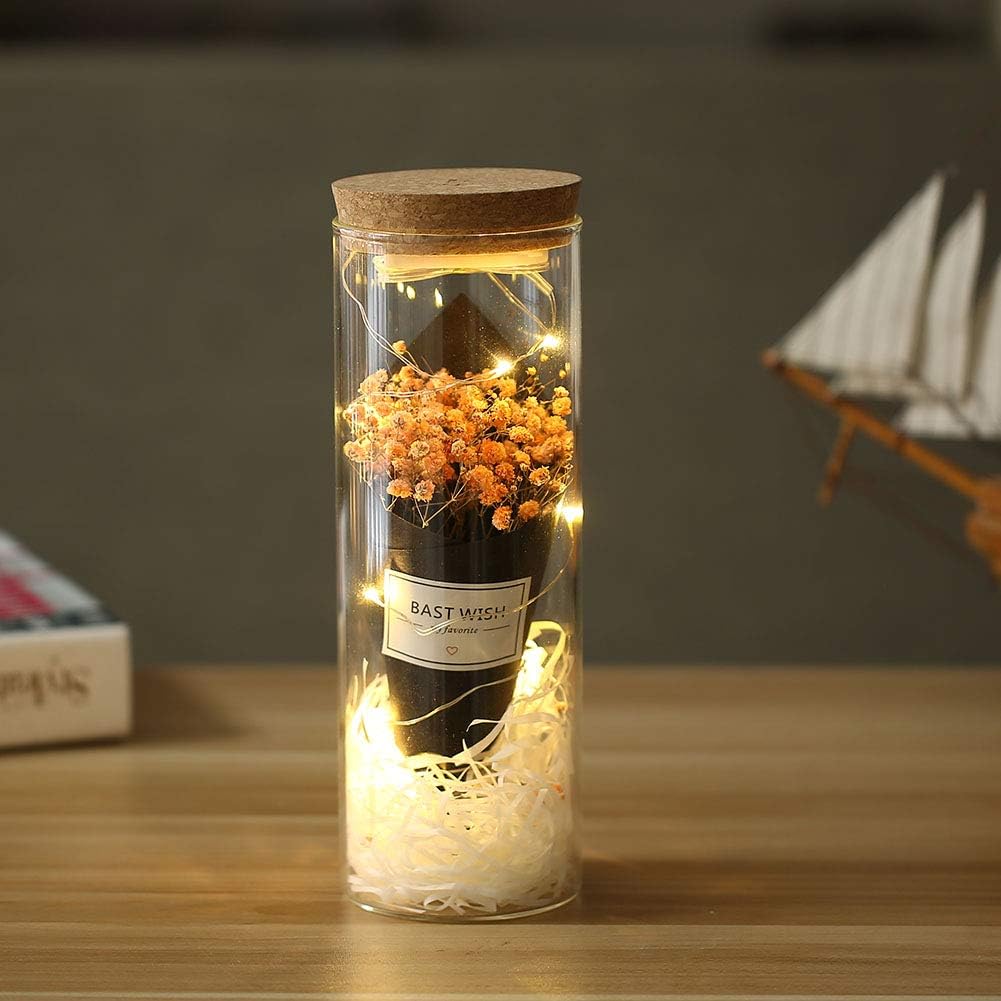 AmuseNd Preserved Flowers Kit Glass Dome and Baby Breath for Home Display Gift for Birthday Wedding Anniversary Valentine’s Day