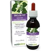 Naturalma Common Ivy or English Ivy (Hedera Helix) Leaf Alcohol-Free Tincture - 4 fl oz Liquid Extract in Drops - Herbal Supplement - Vegan