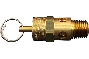 Milton Industries S-1090-200 ASME Safety Valve, 1/4-InchNPT 200 Psi