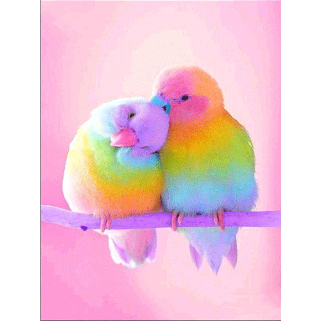 Cuadros con loros