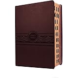 MEV Bible Personal Size Large Print Cherry Brown Indexed: Modern English Version