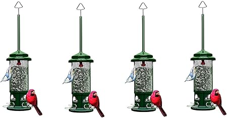 Amazon Com Squirrel Buster Standard Squirrel Proof Bird Feeder W