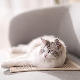 FUKUMARU Cat Scratcher Mat 40x60 cm Natural Sisal Cream view 5