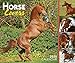 Horse Lovers 2020 6.125 x 5.125 Inch Box Calendar, Animals Horses