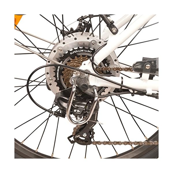 dj mountain bike 750w