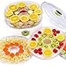 PowCube HKHL1H2 Dehydrator Fruit Dryer Machine Electric 5 Tier Food Preserver with Adjustable Temperature & Digital Timer, 304251283mm, White
