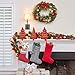 Brylanehome Cordless Led Christmas Garland (Green,0)
