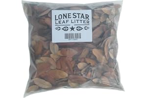 Lone Star Leaf Litter Texas Live Oak Leaf Litter for Reptiles, Bioactive Substrate, Leaf Litter for Isopods, Natural Habitat Enrichment, Terrariums and Vivariums, (1 Gallon)