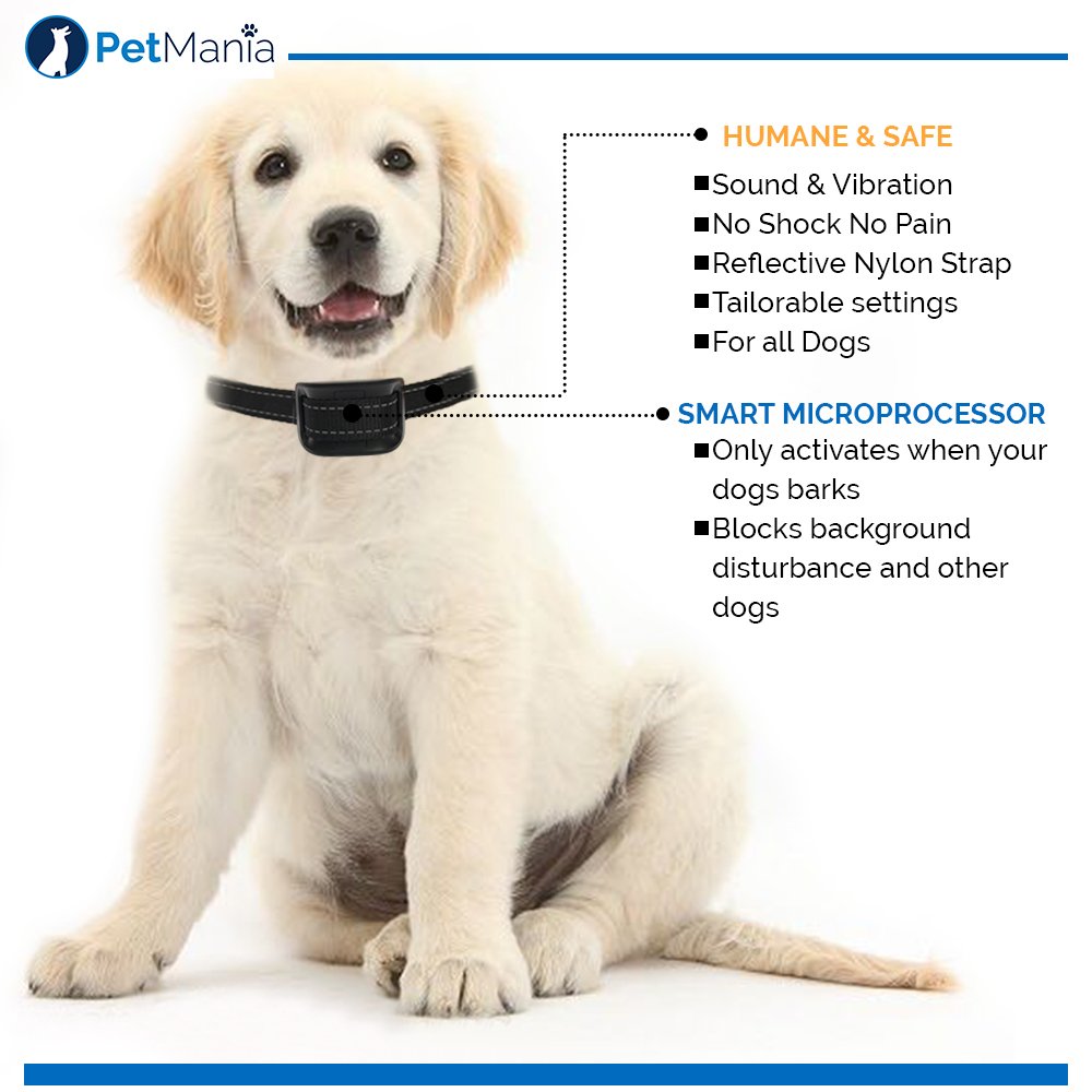 petmania dog beds