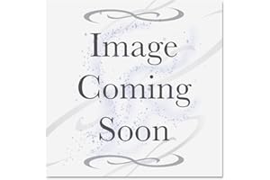 HP LTO Ultrium-7 Data Cartridge,LTO-7 Ultrium Worm Data Tape C7977W