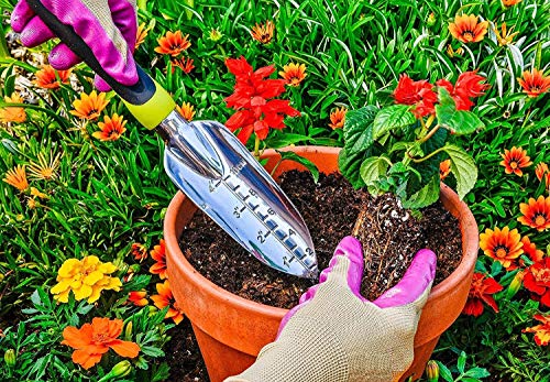 SUPERBEAR Garden Hand Weeder, 2 Pieces Weed Removal Tool with Ergonomic Handle Garden Weeding Tools for Garden Lawn Farmland Transplant