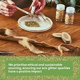 Rainbow Eco Play Craft Bioglitter 20g Silver Biodegradable Glitter view 4