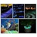 Alan Stone 100pcs Glow in The Dark Pebbles, Glow Pebbles Gravel Rocks Stones,Glow in The Dark Gravel Pebbles for Fish Tank Aquarium Walkway Garden Gifts Decoration,305g/0.67lbs, Rose Color
