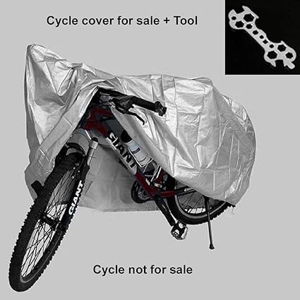 amazon sale cycle