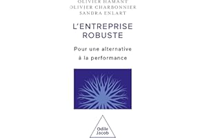 L' Entreprise robuste: Pour une alternative à la performance (French Edition)