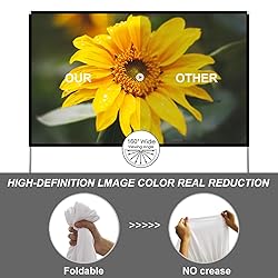 Outdoor Projector Screen with Stand 100