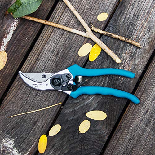 BUTTERFLY LOVE Professional Bypass Pruning Shears, Manual Hand Pruner, Garden Clippers, Tree Trimmers Secateurs (Blue-8 Inches)