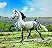 Breyer Classics Mason 2018 Horse of the Year Toy