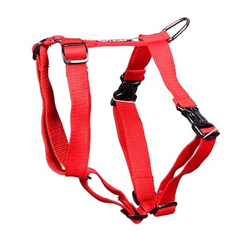 Pets Like Poly Body Belt, Red (Medium)