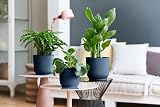 elho Vibes Fold Round 16 Indoor Plant Pot 100% Recycled Plastic Blue view 5