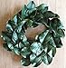 Silk Road Home Magnolia Wreath 24 Inch for Front Door Adjustable Leaves