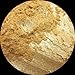 24k Gold Loose Powder Mineral Shimmer Multi Use Eyes Face Color Makeup Bare Earth Pigment Minerals Make Up Cosmetics By M*A*D Minerals Cruelty Free - 10 Gram Sized Sifter Jar