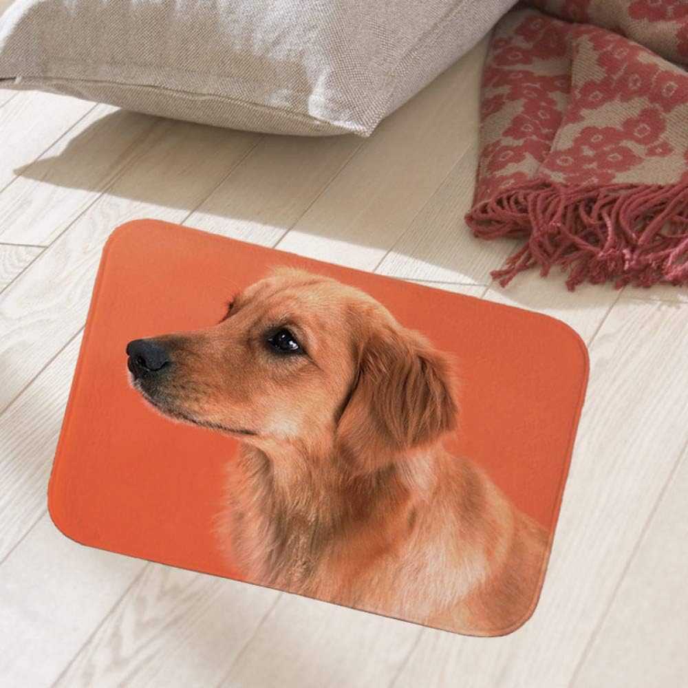 KFEKDT Door Mat Entrance Door Living Room Carpet 3D Carpet Floor Mat Kitchen Carpet Home Decoration Floor Mat A1 50cmx80cm