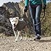 Ruffwear Climate Changer Fleece Jacket, Granite Gray, Medium