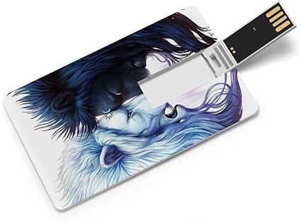 Amazon 太陽 月 ライオン2 カードタイプusbフラッシュドライブ コンピューター ラップトップ用のメモリースティック 映画 写真 ドキュメント 音楽32g 64g用のサムドライブデータストレージ Aswr852 Usbメモリ フラッシュドライブ 通販