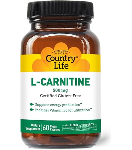 acetyl l-carnitine fertility dosage Role of oxidative stress in male infertility