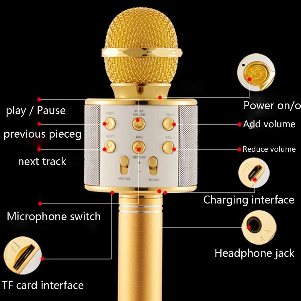 FANEO Wireless Bluetooth Microphone Audio Mobile Phone Karaoke Microphone Microphones