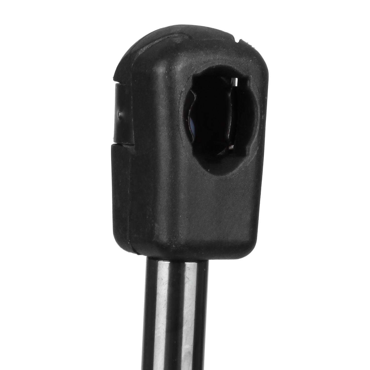 Lift Struts Liftgate Hatch Rear Cooper Mini 2014 2013 2012 2011 2010